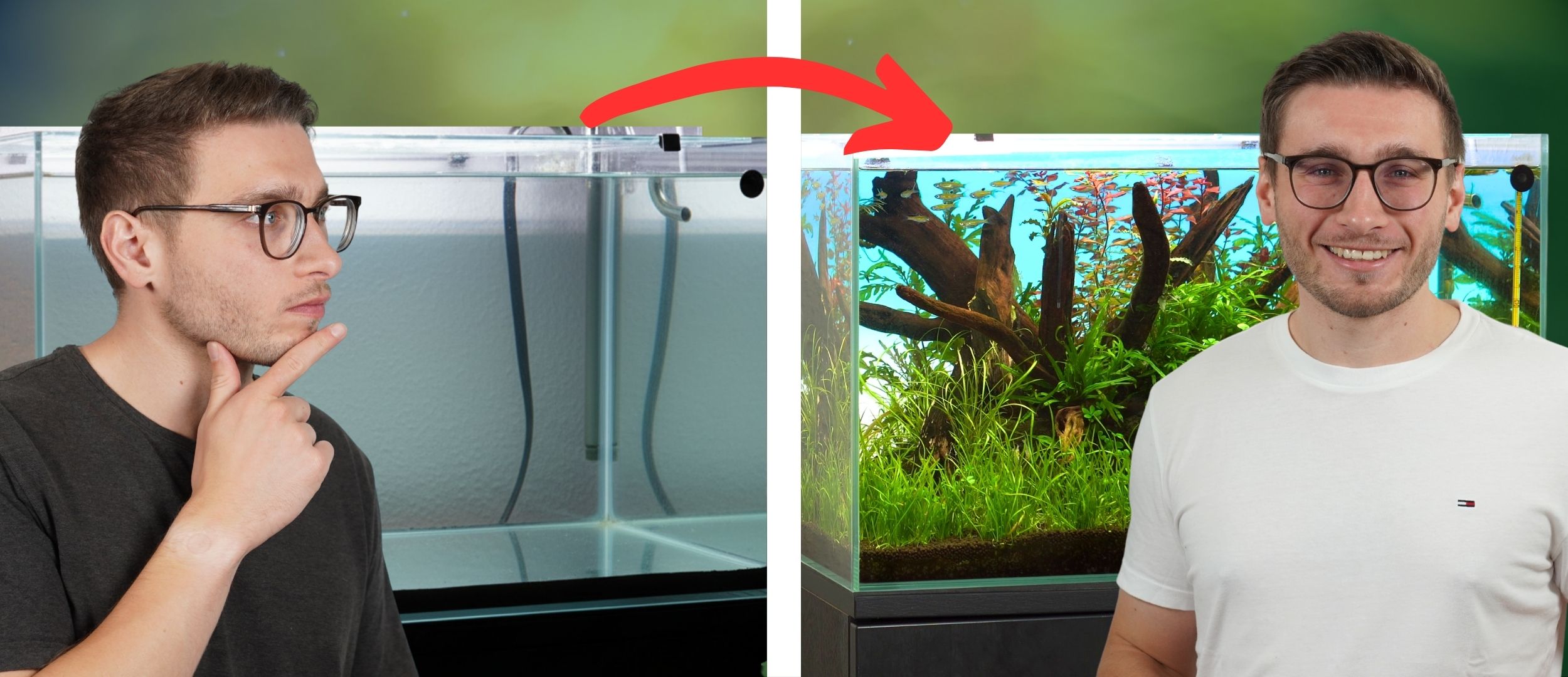 Links ein leeres Glasaquarium, rechts ein dicht bepflanztes, lebendiges Aquarium – die Transformation im Aquarien-Kompass.